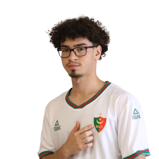 amir